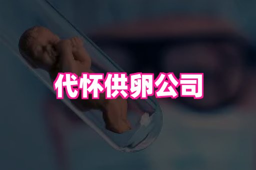 swisee孕网 3